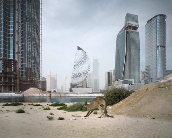 environmental art, photography, Richard Allenby Pratt, apocalypse, Abandoned, Dubai