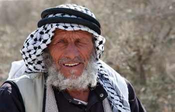 Cheap Olive Oil Threatens to Destroy Middle East Growers and Suppliers