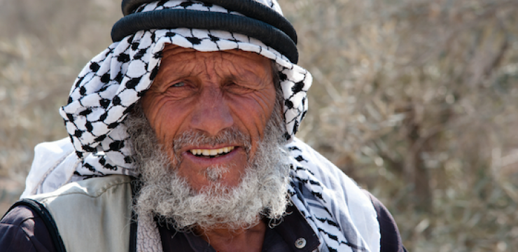 arab-man-olive-trees-palestine.png