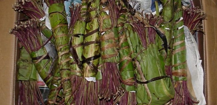 khat-kmle.jpg
