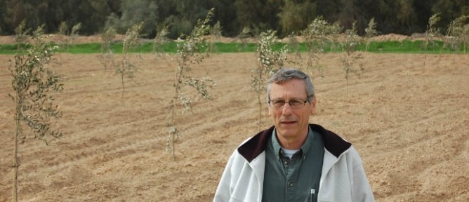 berliner desert research