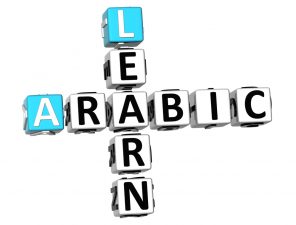 New English-Arabic Dictionary of Environmental Terms