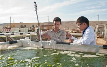 Univerve’s Algae to Biofuel Your Car