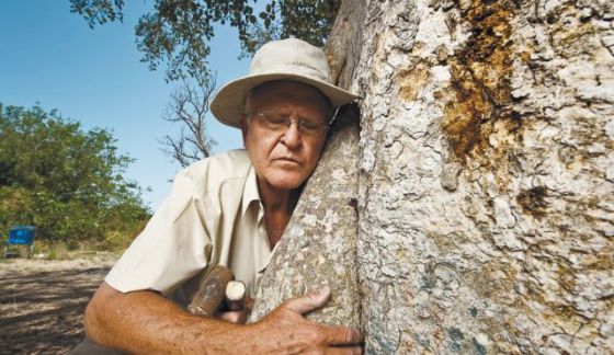 oded yaffe treehugger treehugging friend