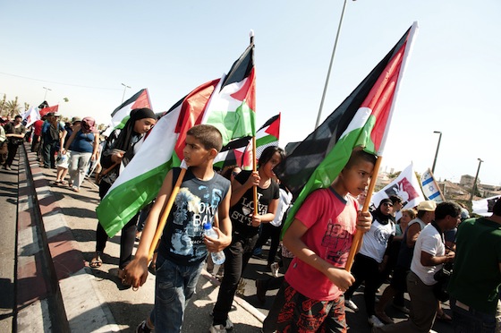 solar-palestine-power-israel-independence-green