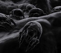 Better Air Cleans Sick Buildings With Probiotics