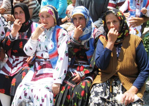 kuskoy bird language turkey