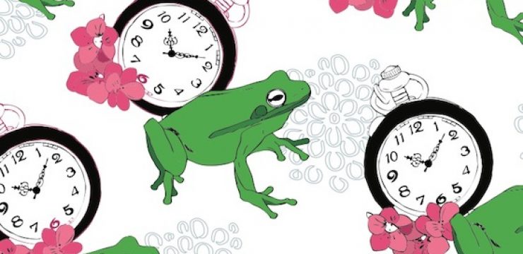 leapsecond-clock-frog.jpg