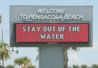 Visit Florida to Understand the Importance of Impact and Restoration