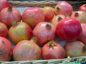Plants Of The Quran: Pomegranate