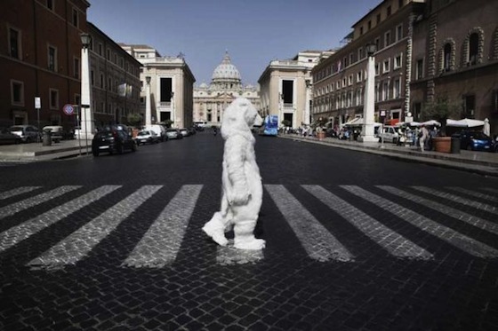 greenpeace save the arctic polar bear in rome