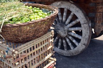 Palm Fiber Crates: Cairo’s Sustainable Street Furniture