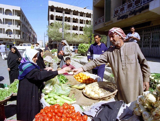 agriculture, desertification, water shortages, Iraq, farming, farmer commits suicide