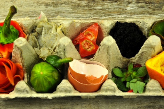 compost, recycling, food waste, biogas, Israel, waste to energy