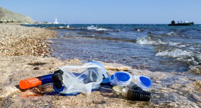 Human Anti-Bacterial Drug to Help Coral Fight the White Plague