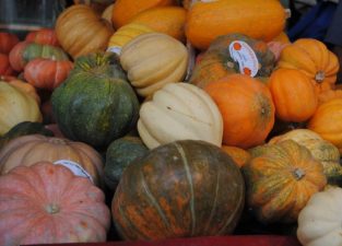 Is Organic Food Really Healthier?