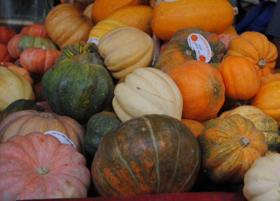 Is Organic Food Really Healthier?