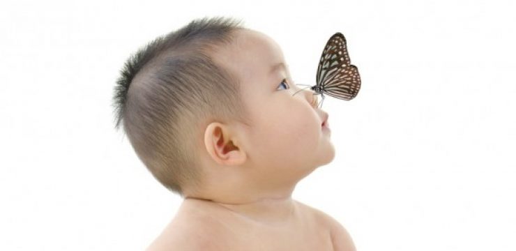 butterfly-asian-boy-baby-nose.jpg