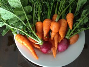 How to Keep Carrots Crispy for Weeks – A Sustainable Guide