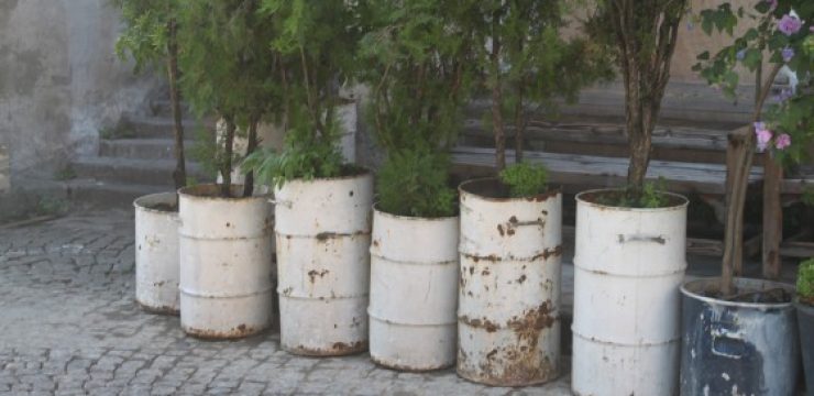 planters-560x373.jpg