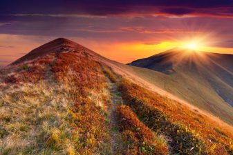 5 Ways Yom Kippur Can Green The World