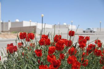 MENA Geothermal’s Largest System in the Middle East is Complete