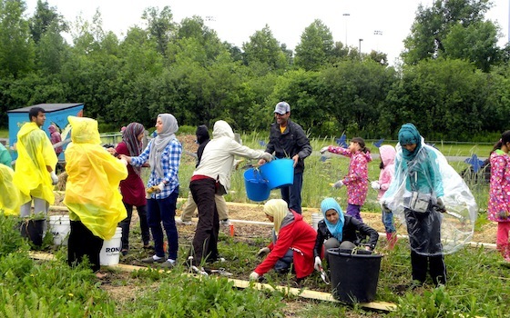 Muaz Nasir green islam environment civic muslims community gardening