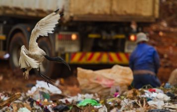 Gaza’s First Recycling Plant Opens and Not a Minute Too Soon