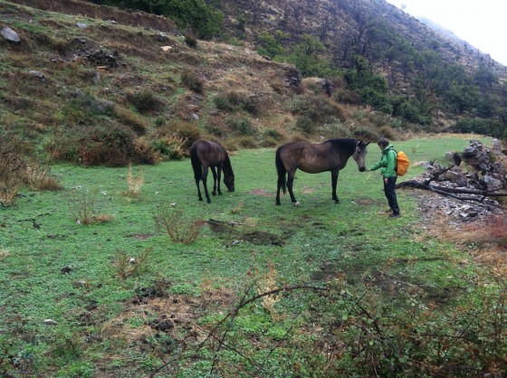 Hiking, Travel, Nature, Heartbreak, Spain, Sierra Nevada Mountains