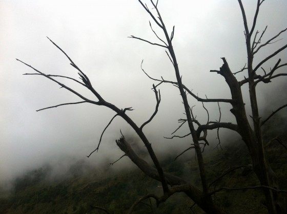 Hiking, Travel, Nature, Heartbreak, Spain, Sierra Nevada Mountains