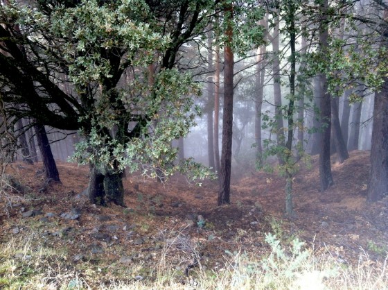 Hiking, Travel, Nature, Heartbreak, Spain, Sierra Nevada Mountains