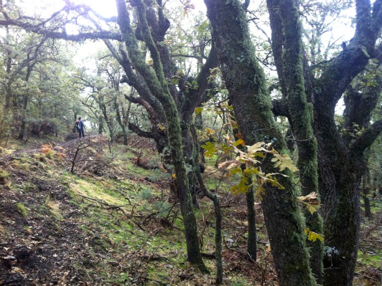 5 Ways Hiking Heals a Broken Heart