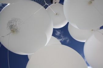 Embryonic Canopy is a Giant Floating Seed Bomb