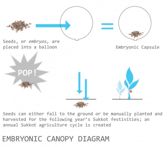 Embryonic Canopy by Craig Deebank and Gina Gallaugher Embryonic Canopy, seed bomb, biodegradable balloon, Sukkah, Jewish Holidays, Architecture, Agriculture, Green Design, Urban Design