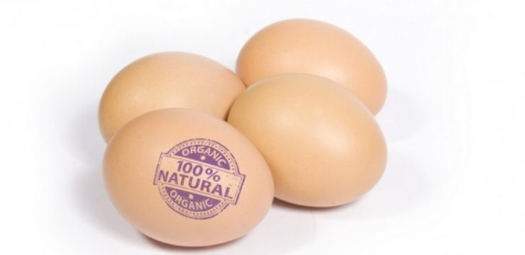 organic-eggs-label.jpg