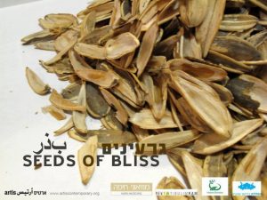 Sunflower seeds chewed up for peace Sunflower seeds chewed up for peace