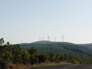 Germany’s EnBW Partners With Turkish Firm To Build 50MW Wind Power Plant