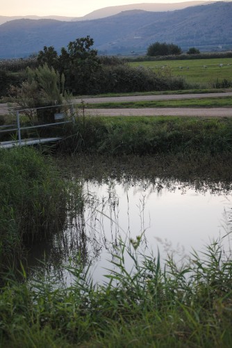 bird park hula valley israel