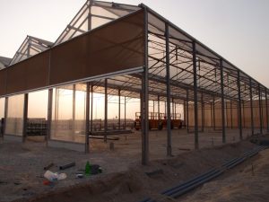 Lifesaving Sahara Forest Project to Start With COP 18 in Qatar