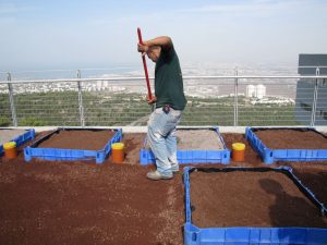 A Dedicated Green Roof Research Center Opens in Israel