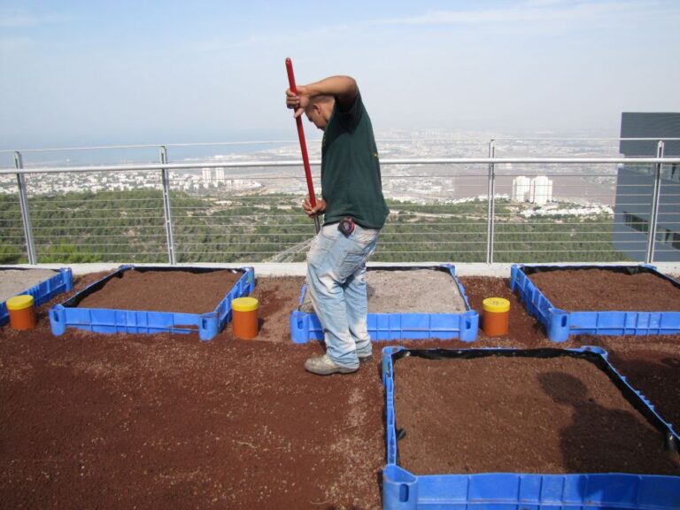 A Dedicated Green Roof Research Center Opens in Israel