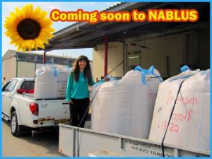 Eating sunflower seeds for peace