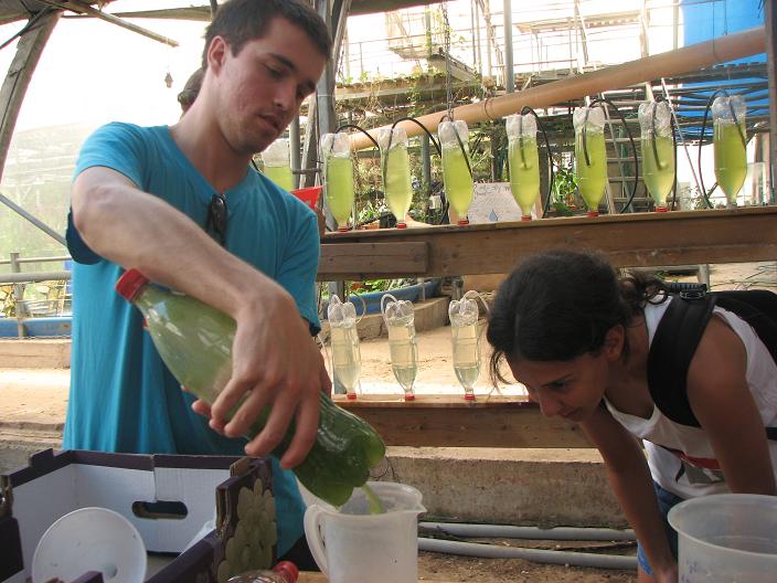 arabs, jews, algae, Kibbutz Ein Shemer, Eco-Greenhouse, agriculture, biofuels, wastewater treatment, food, medicine