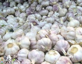 Islam and Garlic (Thūm)