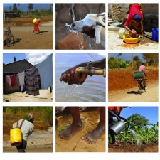 Israel Strengthens Environmental Ties to 44 African Nations