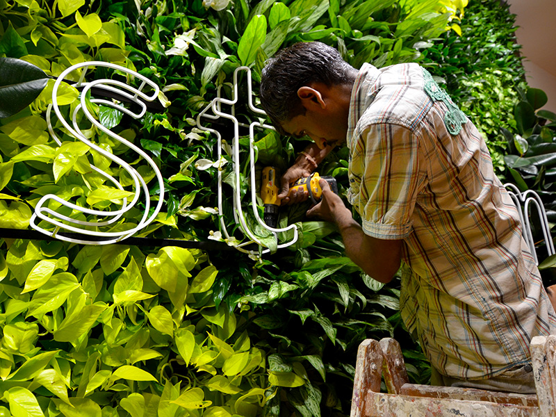 Green Wall, Living Wall, Vertical Garden, GSky, Kuwait, West Elm, Versa Wall