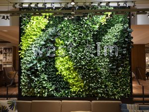 West Elm’s Living Green Wall is a First in Kuwait