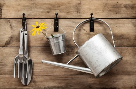 eco resolutions, new years, 2013, green prophet, DIY, gardening, environment, lifestyle