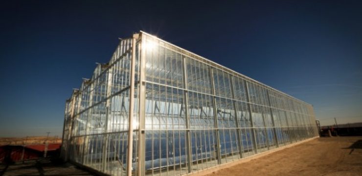 GlassPoint-Solar-Greenhouse.jpg