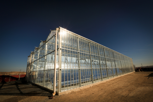 GlassPoint Solar, Greenhouse, CSP, solar energy, oil, Oman, clean tech